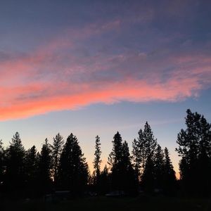 Meet your Posher, Isabella